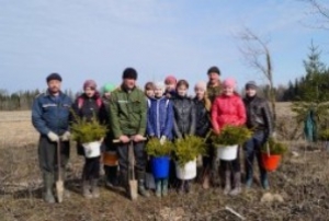 Экалагічная акцыя ў рамках Тыдня лесу