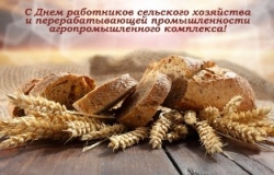 Уважаемые труженики сельского хозяйства, работники перерабатывающей промышленности агропромышленного комплекса и ветераны отрасли!