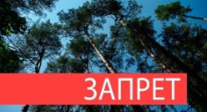 С 26 апреля введен временный запрет посещения лесов на территории Шарковщинского района