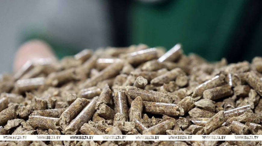 Lukashenko plans to examine fuel pellet production