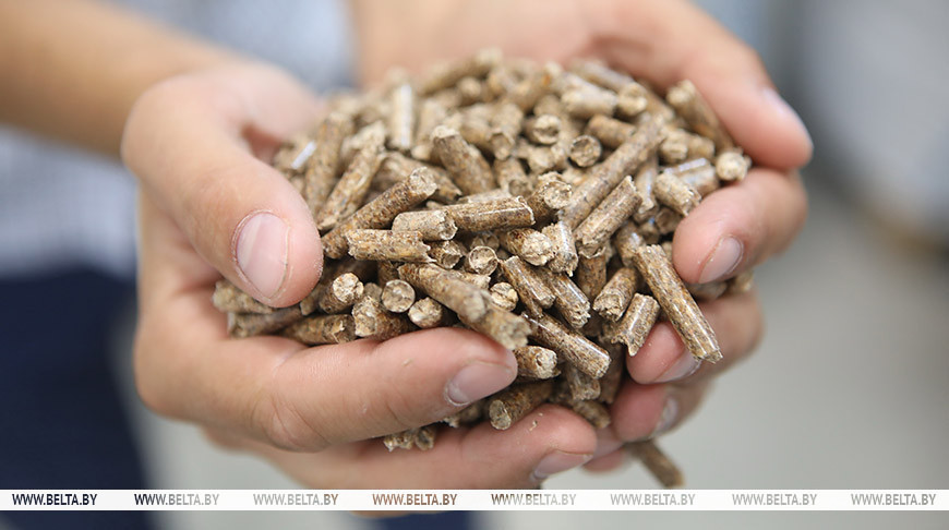 Why Lukashenko has high hopes on wood biofuel production