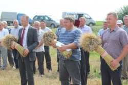 У ААТ «Даватарскі» прайшлі раённыя "Зажынкі"