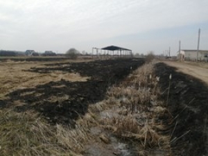 Территория должна содержаться в чистоте