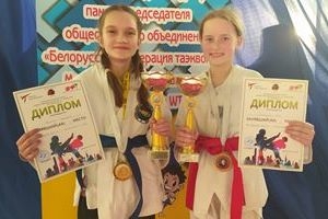 Шарковщинские таэквондисты заняли на открытом республиканском турнире 8 наград