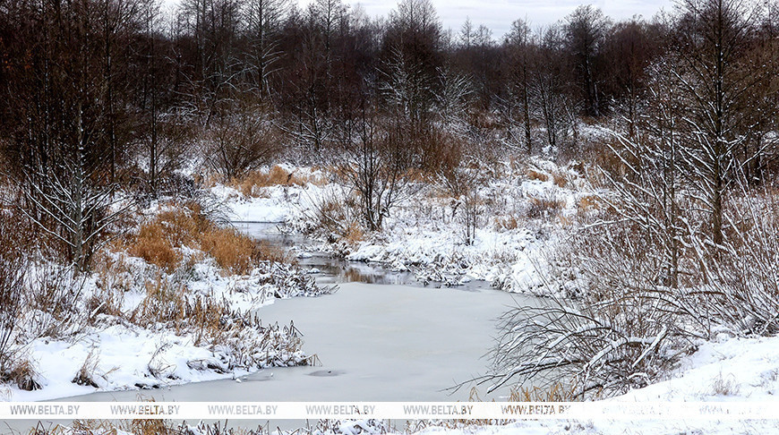 Belarusian government approves Ecology state program for 2026-2030