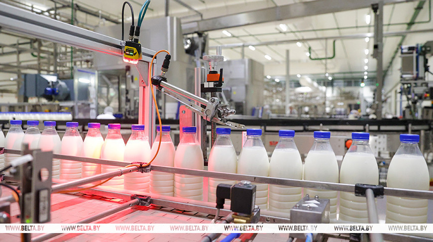 Вытворчасць сельгаспрадукцыі ў Беларусі ў студзені павялічылася на 3,5 працэнта