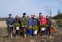 Экалагічная акцыя ў рамках Тыдня лесу