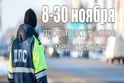 С 8 по 30 ноября ГАИ Витебской области проводит комплекс
мероприятий по предупреждению ДТП с участием пешеходов и велосипедистов