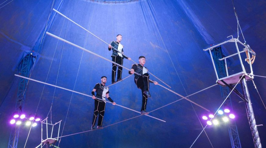 Самый большой передвижной цирк страны - в Витебске. Шоу от шапито "13 метров" и Гомельского госцирка