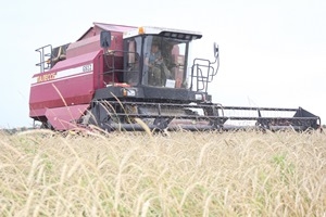 Аб выдзяленні камбайнаў для ўборкі прысядзібных участкаў