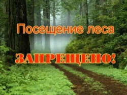 Введен запрет на посещение лесов в Шарковщинском районе
