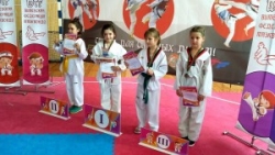 Годна выступілі шаркаўшчынскія таэквандысты