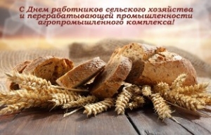 Уважаемые труженики сельского хозяйства, работники перерабатывающей промышленности агропромышленного комплекса и ветераны отрасли!