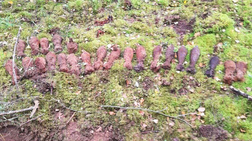 У Пастаўскім раёне выяўлена 189 выбухованебяспечных прадметаў часоў Першай сусветнай вайны