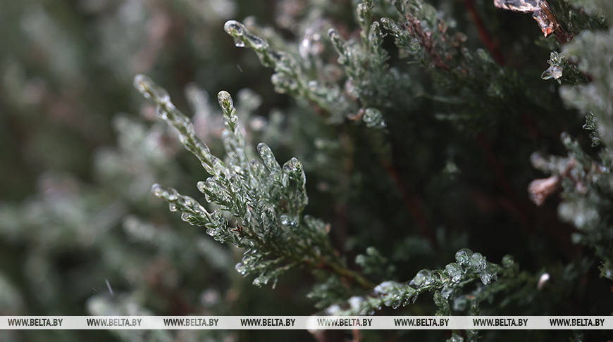 Снег с дождем, на дорогах - гололедица. Какой будет погода в Беларуси 28 января